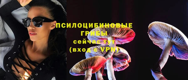 spice Богородицк