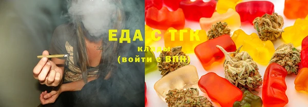 spice Богородицк