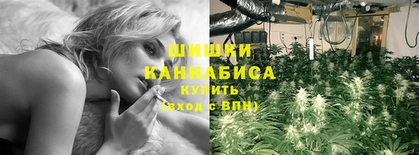 PSILOCYBIN Богданович