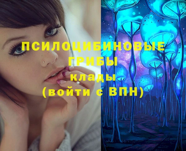 PSILOCYBIN Богданович