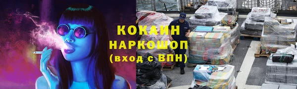 spice Богородицк